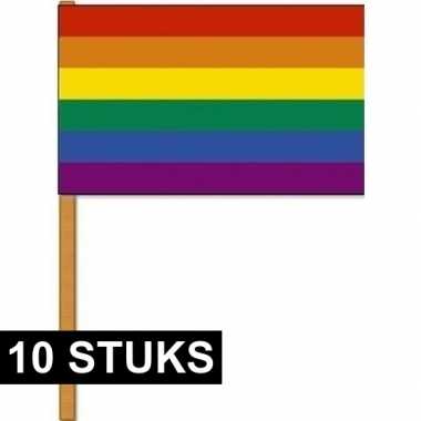 10x regenbogen zwaaivlaggen/handvlaggen 30 x 45 cm polyester