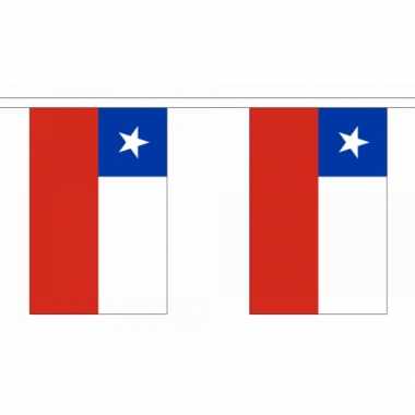 Chili vlaggenlijn 9 meter