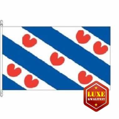 Provincievlag friesland hoge kwaliteit