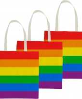 10x katoenen canvas boodschappentasje shopper regenboog rainbow pride vlag voor volwassenen en kids