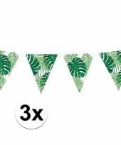 3x feest vlaggenlijnen tropisch feestje