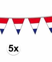 5x vlaggenlijn hollandse vlaggetjes