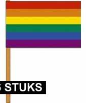 6x regenbogen zwaaivlaggen handvlaggen 30 x 45 cm polyester