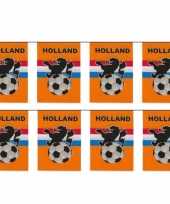 6x stuks vlaggenlijnen vlaggetjes oranje holland voetbal thema 10 meter