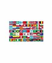 70 nationaliteiten vlag