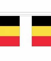 Belgie vlaggenlijnen 9 m