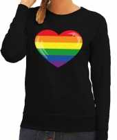 Gay pride regenboog hart sweater zwart voor dames