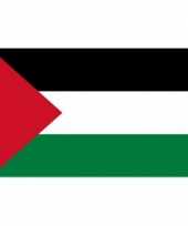 Landenversiering palestina vlag 90 x 60 cm