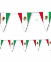 Mexicaanse vlag slingers 3 5 meter