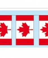 Papieren vlaggenlijnen canada