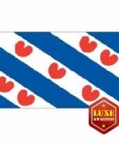 Provincievlag friesland hoge kwaliteit