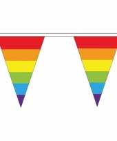 Set van 3x stuks polyester vlaggenlijnen regenboog vlaggetjes