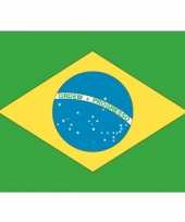 Stickers van de braziliaanse vlag