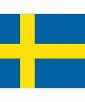 Stickers van de zweedse vlag