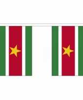 Suriname vlaggenlijnen