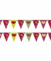 Valentijn 2x gekleurde hartjes vlaggenlijnen van 4 meter per stuk